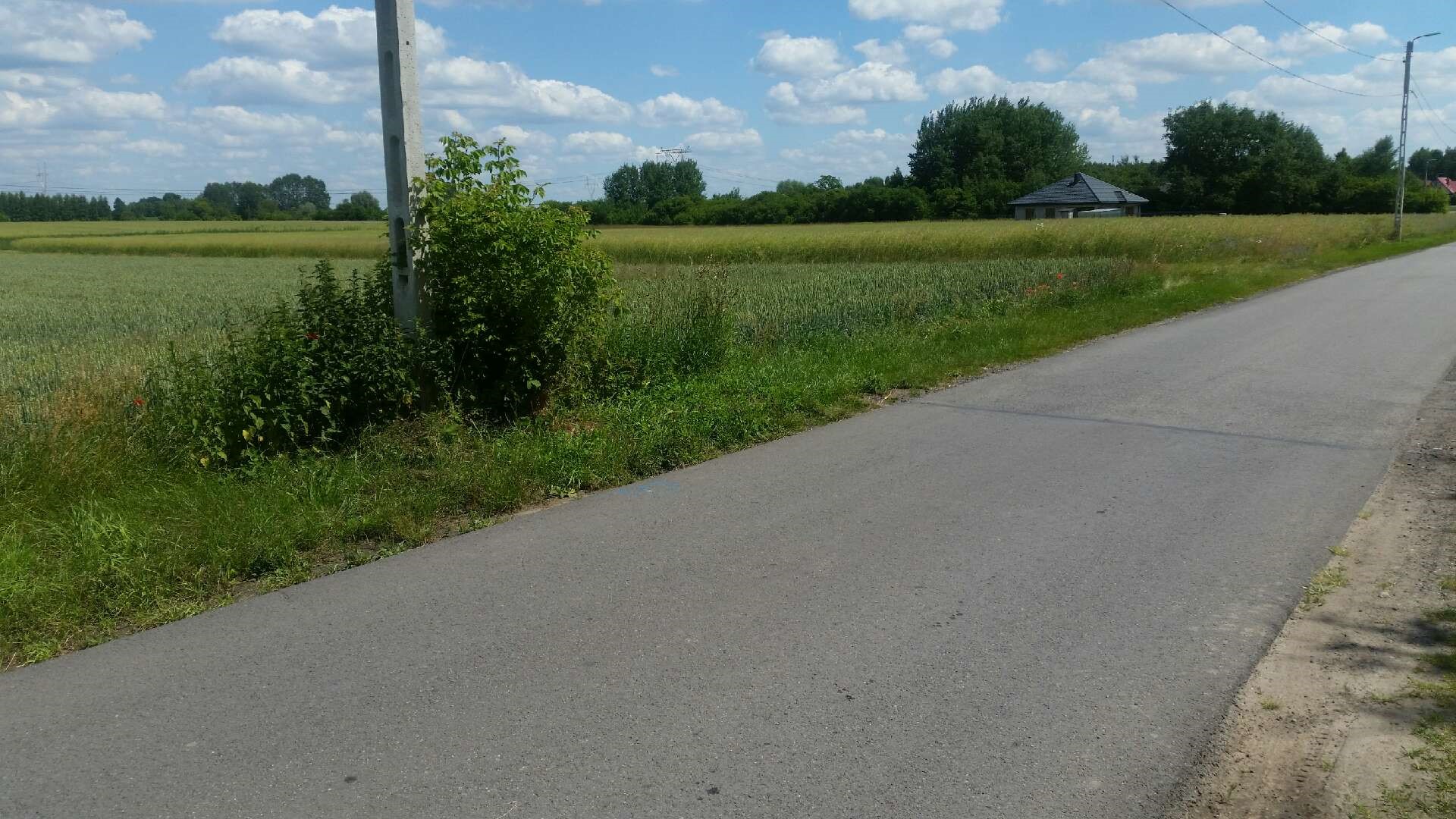 Powiększ!